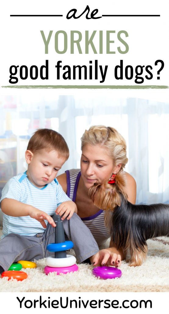 little boy with mom and yorkie