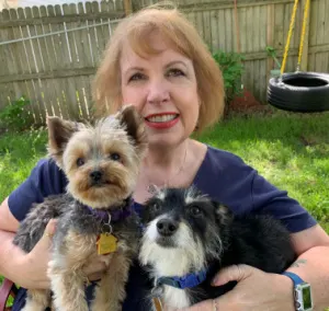 Blond woman holding a Yorkie and Chorkie sitting outside